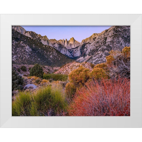 Mount Whitney-Sequoia National Park Inyo-National Forest-California White Modern Wood Framed Art Print by Fitzharris, Tim