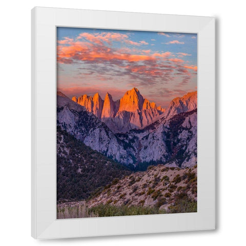 Mount Whitney-Sequoia National Park Inyo-National Forest-California White Modern Wood Framed Art Print by Fitzharris, Tim