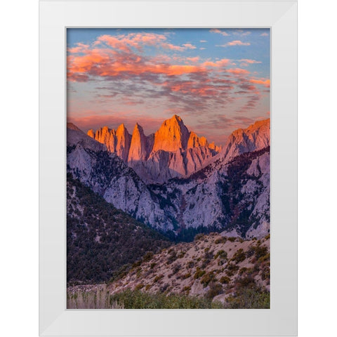 Mount Whitney-Sequoia National Park Inyo-National Forest-California White Modern Wood Framed Art Print by Fitzharris, Tim