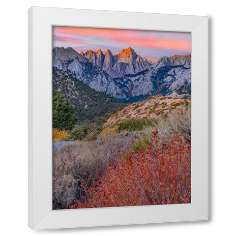 Mount Whitney-Sequoia National Park Inyo-National Forest-California White Modern Wood Framed Art Print by Fitzharris, Tim