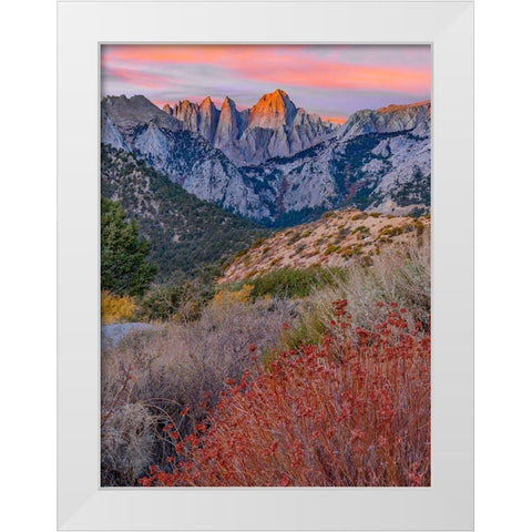 Mount Whitney-Sequoia National Park Inyo-National Forest-California White Modern Wood Framed Art Print by Fitzharris, Tim