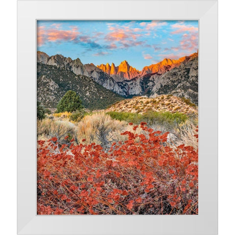 Mount Whitney-Sequoia National Park Inyo-National Forest-California White Modern Wood Framed Art Print by Fitzharris, Tim