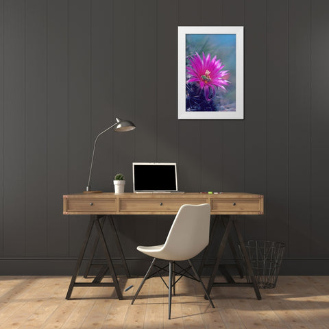 Bee in Hedgehog Cactus White Modern Wood Framed Art Print by Fitzharris, Tim