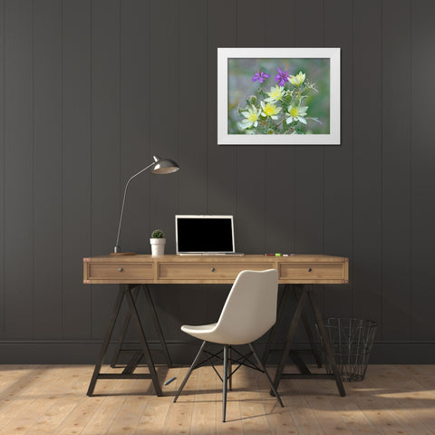 Adonis Blazingstar and wild geranium White Modern Wood Framed Art Print by Fitzharris, Tim