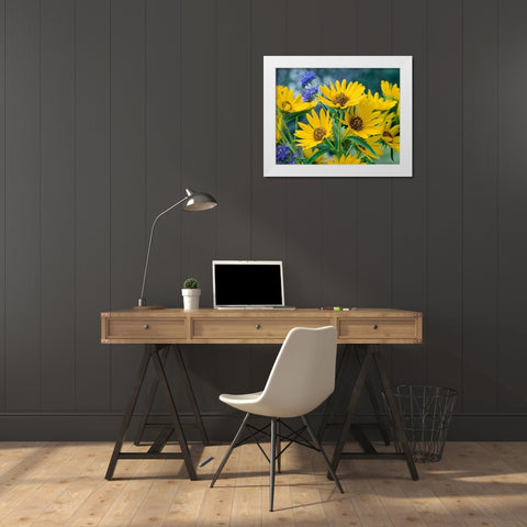 Maximillian Sunflowers White Modern Wood Framed Art Print by Fitzharris, Tim