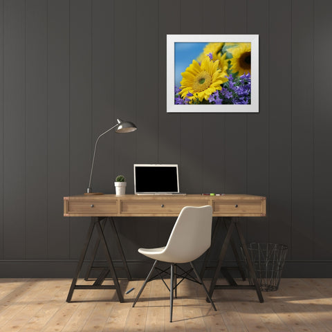 Sunflowers and Campanula White Modern Wood Framed Art Print by Fitzharris, Tim