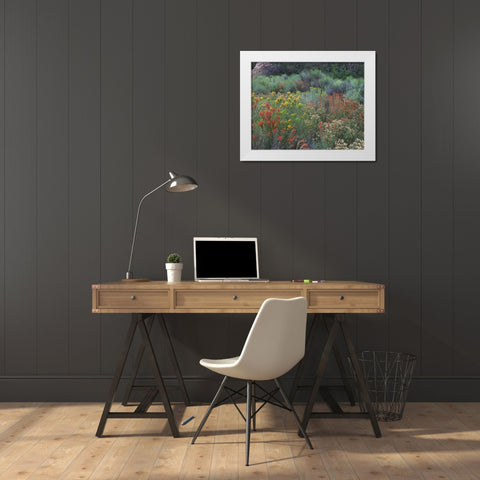 Indian Paintbrushes and Chamisas White Modern Wood Framed Art Print by Fitzharris, Tim