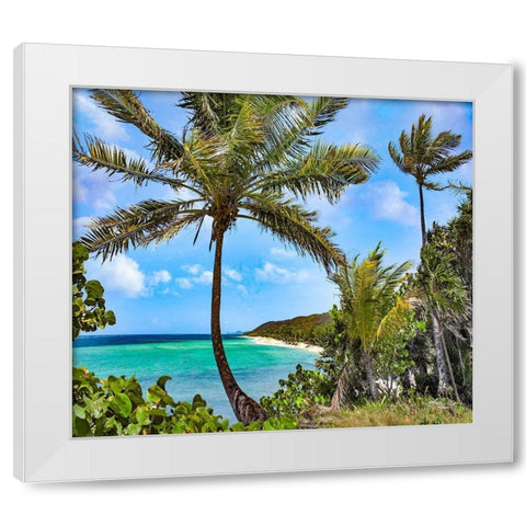 Coconut Trees and Camp Bay in Distance White Modern Wood Framed Art Print by Fitzharris, Tim