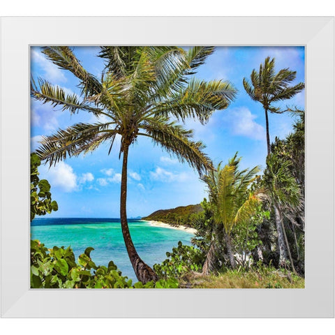 Coconut Trees and Camp Bay in Distance White Modern Wood Framed Art Print by Fitzharris, Tim