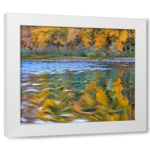 Ripples in the Rio Grande White Modern Wood Framed Art Print by Fitzharris, Tim