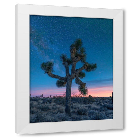 Milky Way at Joshua Tree National Park White Modern Wood Framed Art Print by Fitzharris, Tim