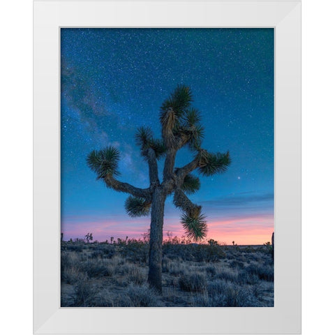 Milky Way at Joshua Tree National Park White Modern Wood Framed Art Print by Fitzharris, Tim