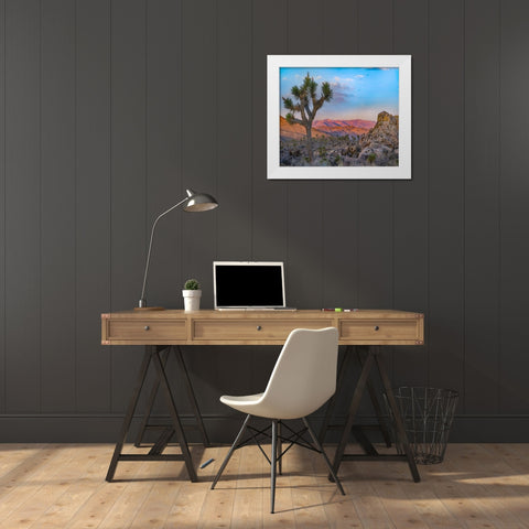 Joshua Trees at Lost Horse Valley White Modern Wood Framed Art Print by Fitzharris, Tim