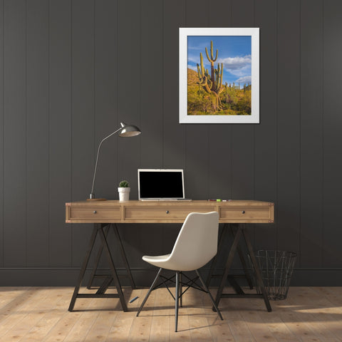 Big Saguaro Cactus White Modern Wood Framed Art Print by Fitzharris, Tim