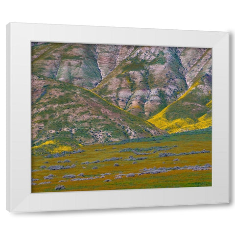 Wildflower Bloom  White Modern Wood Framed Art Print by Fitzharris, Tim