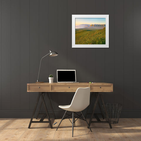 Sunrise at Soda Lake White Modern Wood Framed Art Print by Fitzharris, Tim