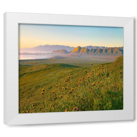 Sunrise at Soda Lake White Modern Wood Framed Art Print by Fitzharris, Tim