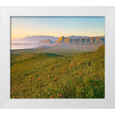 Sunrise at Soda Lake White Modern Wood Framed Art Print by Fitzharris, Tim