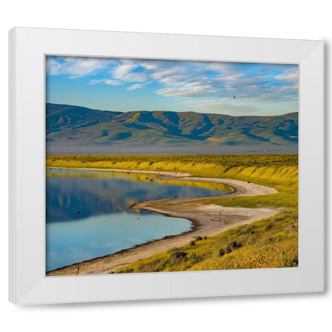 Soda Lake-Carrizo Plain National Monument White Modern Wood Framed Art Print by Fitzharris, Tim