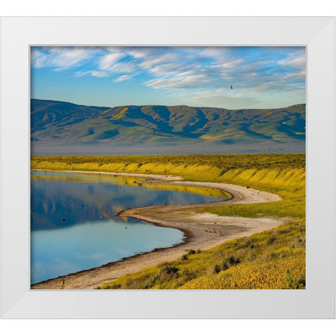 Soda Lake-Carrizo Plain National Monument White Modern Wood Framed Art Print by Fitzharris, Tim