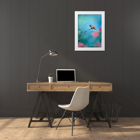 Rufous Hummingbird Sitting on Branch White Modern Wood Framed Art Print by Fitzharris, Tim