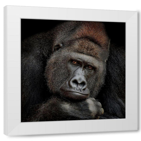 ONE MOMENT IN CONTACT White Modern Wood Framed Art Print by Wenner-Braun, Antje