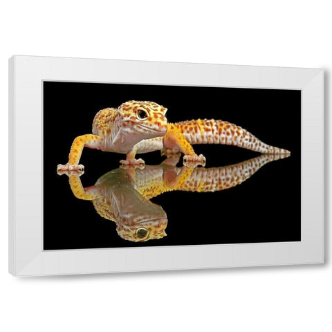 Leopard Gecko White Modern Wood Framed Art Print by Oesin, Dikky