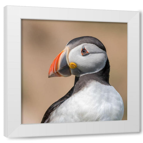 Portrait White Modern Wood Framed Art Print by Galus, Piotr