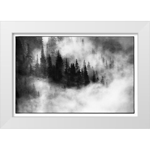 Agharta III White Modern Wood Framed Art Print by Stefan, Jacek