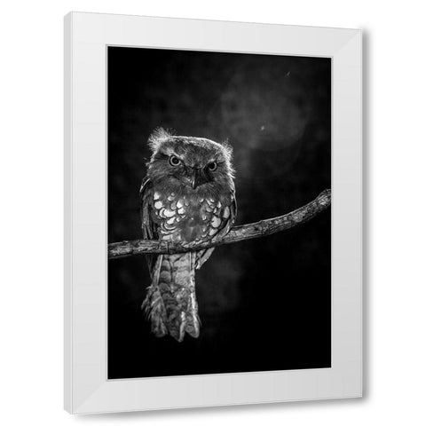 Alone in the night White Modern Wood Framed Art Print by Wilianto