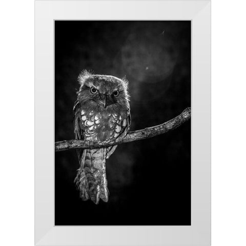 Alone in the night White Modern Wood Framed Art Print by Wilianto