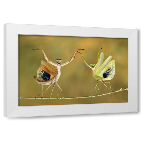 Show Time White Modern Wood Framed Art Print by Baglar, Hasan