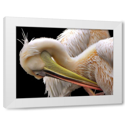 Toileting... White Modern Wood Framed Art Print by Dufour, Thierry