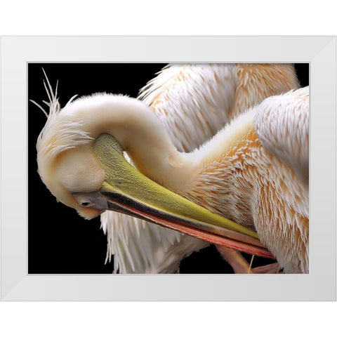 Toileting... White Modern Wood Framed Art Print by Dufour, Thierry