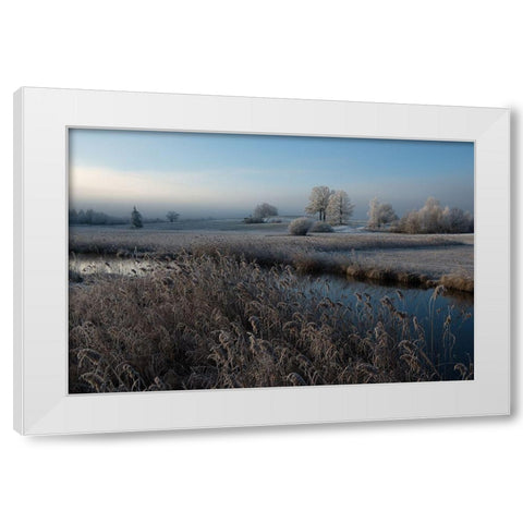 Cold White Modern Wood Framed Art Print by Pauli, Nina