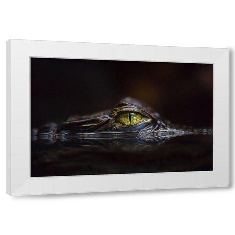 Hypnotic White Modern Wood Framed Art Print by Cessati, Gaetano