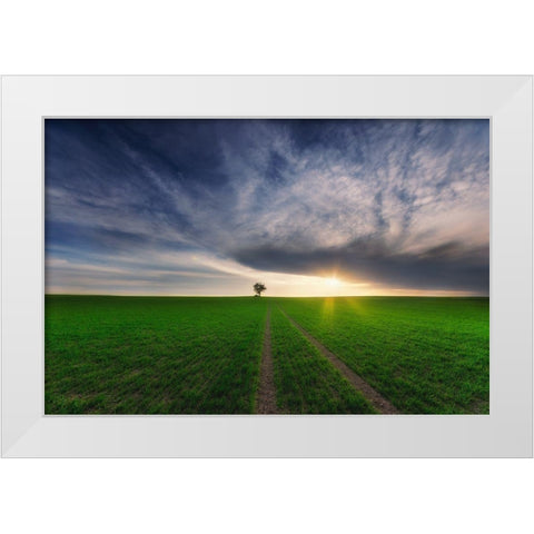 loner in the sun White Modern Wood Framed Art Print by Krol (Bax), Piotr
