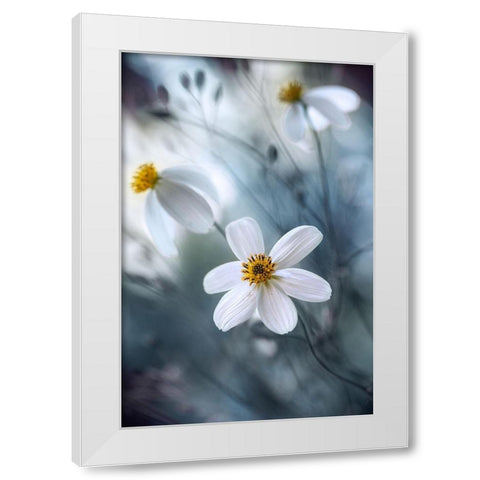Cosmos White Modern Wood Framed Art Print by Disher, Mandy