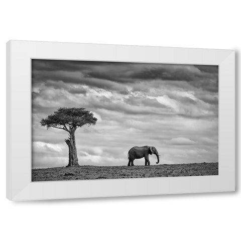 Elephant Landscape White Modern Wood Framed Art Print by Moreno, Mario