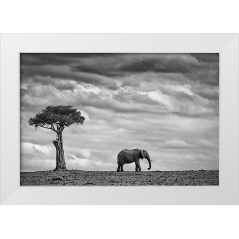 Elephant Landscape White Modern Wood Framed Art Print by Moreno, Mario