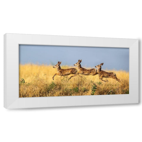 Tripple Jump White Modern Wood Framed Art Print by Verdon