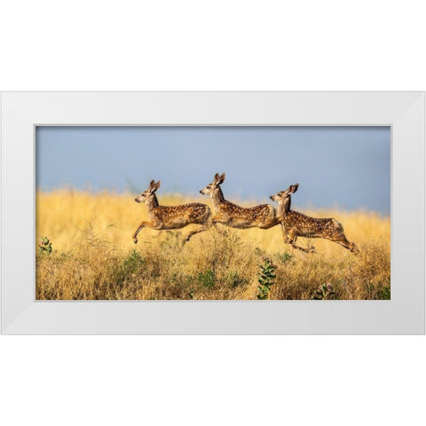 Tripple Jump White Modern Wood Framed Art Print by Verdon