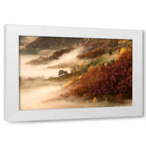 Novembers fog White Modern Wood Framed Art Print by Bor