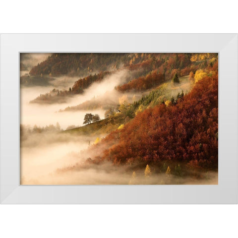 Novembers fog White Modern Wood Framed Art Print by Bor