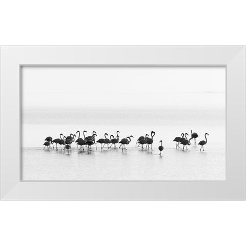 Flamingos White Modern Wood Framed Art Print by Gil Raga, Joan