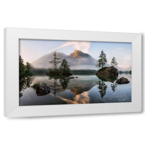 Natures Awakening White Modern Wood Framed Art Print by Gastager, Daniel