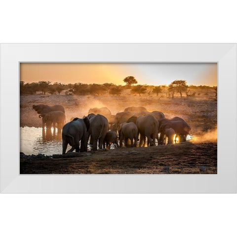 Elephant huddle White Modern Wood Framed Art Print by Van Ooijen, Simon
