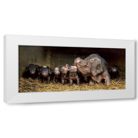 The wrinkled ones White Modern Wood Framed Art Print by Van Den, Gert