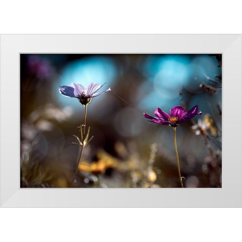 Le lien White Modern Wood Framed Art Print by Bravin, Fabien