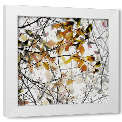 autumn song White Modern Wood Framed Art Print by Claes, Gilbert